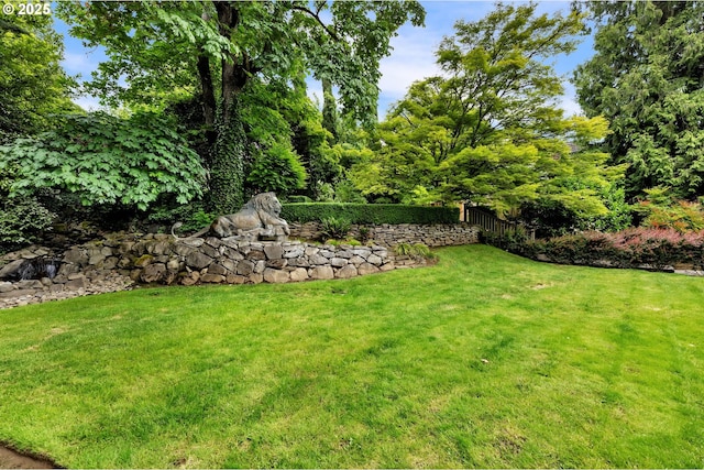 3420 SE 144th Ct, Vancouver, WA 98683 - view of yard