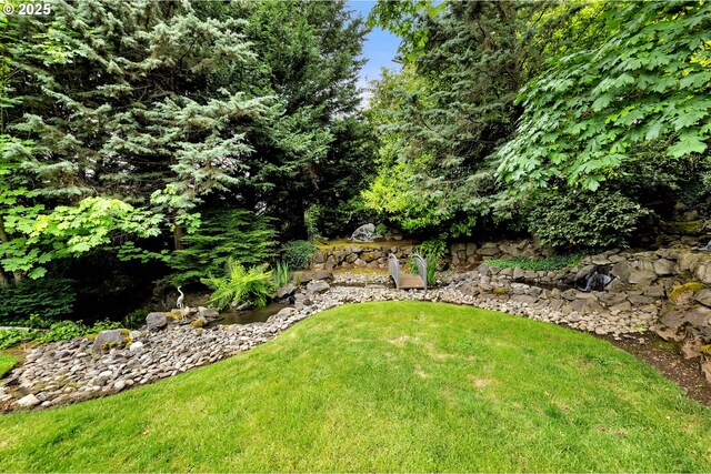 3420 SE 144th Ct, Vancouver, WA 98683 - view of green lawn