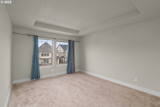 spare room with a raised ceiling, light carpet, and a textured ceiling