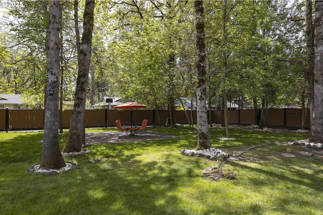 view of yard with a patio and a fenced backyard