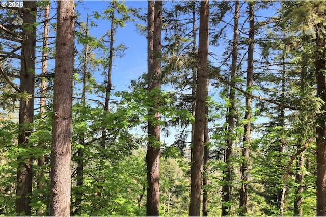 view of landscape featuring a view of trees