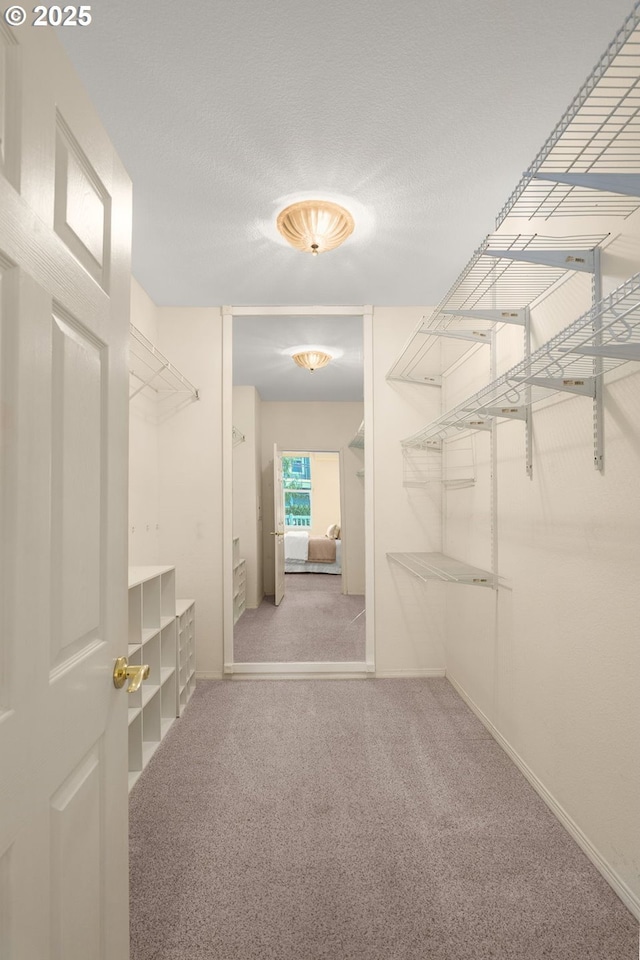 1231 NE Horizon Loop Unit 203, Hillsboro, OR 97124 - walk in closet featuring carpet floors