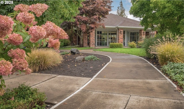 1231 NE Horizon Loop Unit 203, Hillsboro, OR 97124 - view of front of home featuring brick siding, a front lawn, and a shingled roof