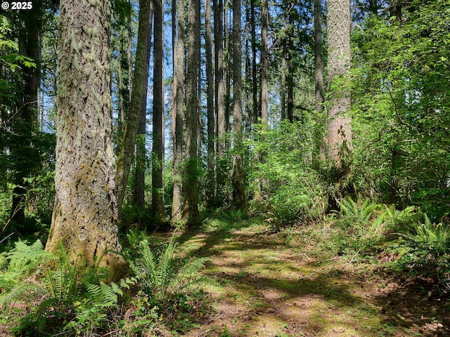 23456 S Schieffer Rd, Colton, OR 97017 - view of wooded area