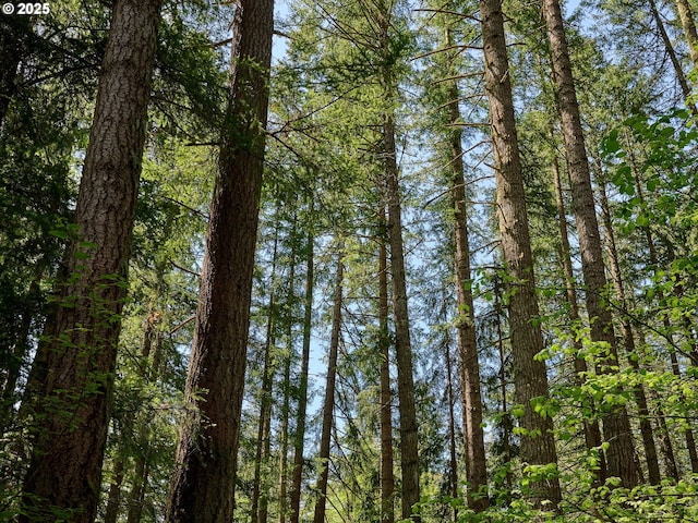 23456 S Schieffer Rd, Colton, OR 97017 - view of woods