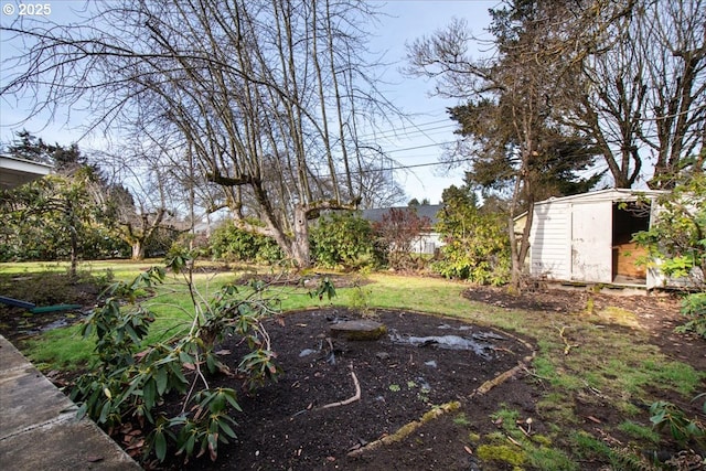 view of yard with a shed