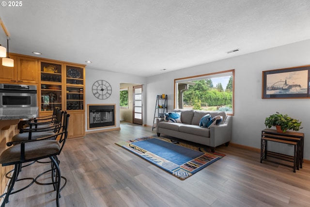 8747 S Heinz Rd, Canby, OR 97013 - living area featuring plenty of natural light, light wood-type flooring, a glass covered fireplace, recessed lighting, and a textured ceiling