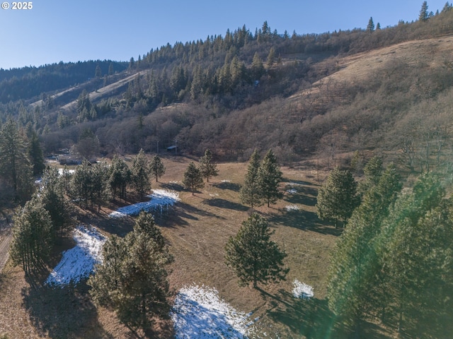 2255 Proctor Rd, Mosier OR, 97040 land for sale