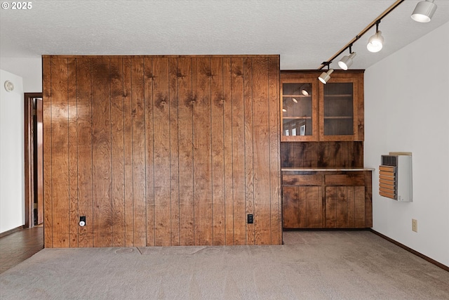 carpeted spare room with rail lighting, heating unit, a textured ceiling, and wood walls