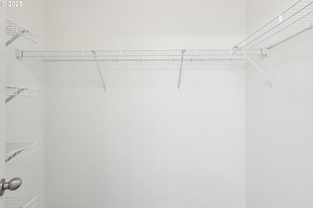 view of walk in closet