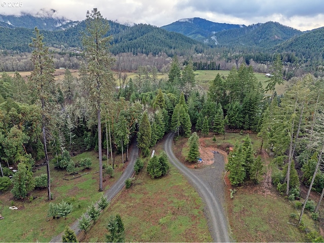 drone / aerial view featuring a mountain view