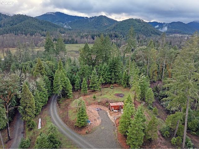 drone / aerial view featuring a mountain view