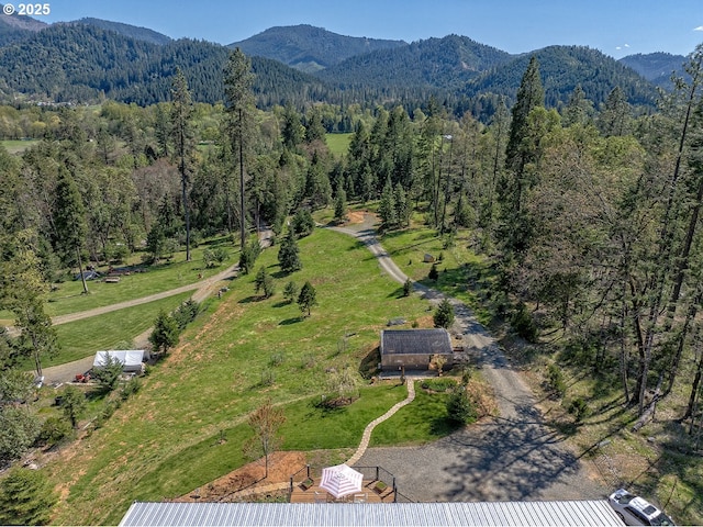 aerial view featuring a view of trees and a mountain view