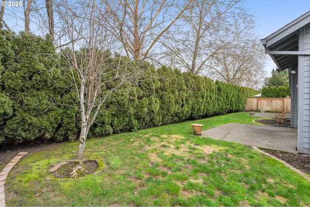 view of yard with a patio