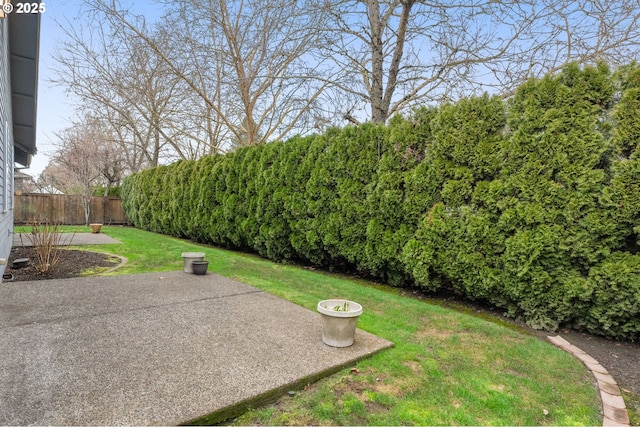 view of yard featuring a patio area