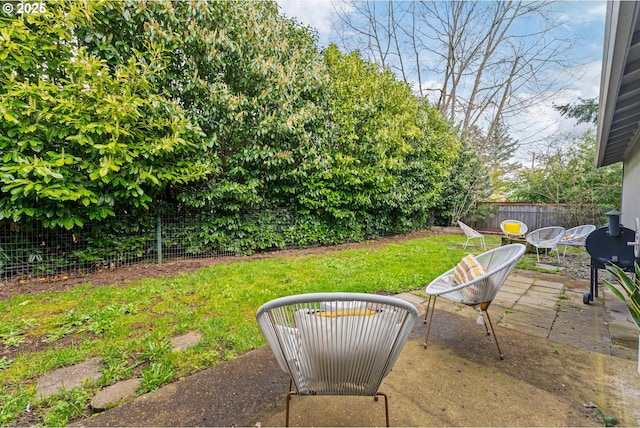 view of yard featuring a patio area