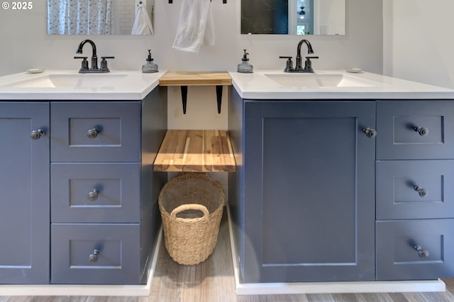 bathroom with wood finished floors, two vanities, and a sink