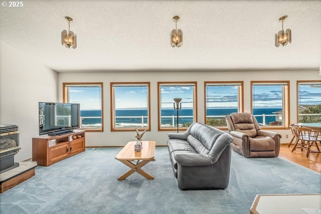 461 Terrace Dr, Rockaway Beach, OR 97136 - carpeted living area with a wood stove and a textured ceiling