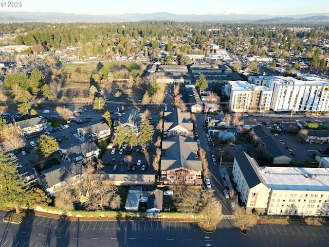 birds eye view of property featuring a mountain view