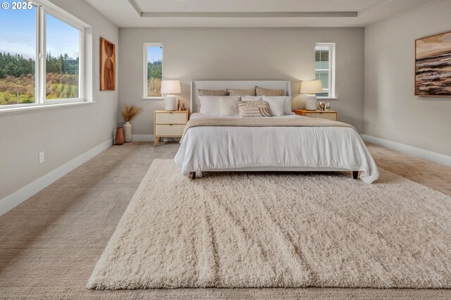 carpeted bedroom featuring a raised ceiling and baseboards