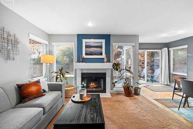 living room featuring plenty of natural light and carpet