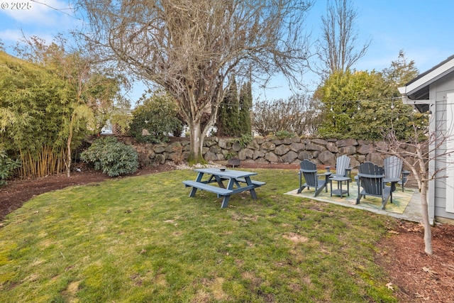 view of yard featuring a patio