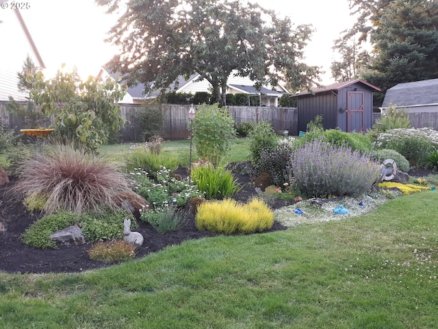 view of yard featuring a shed