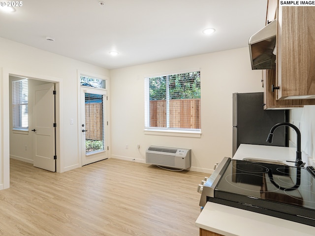 kitchen with sink, appliances with stainless steel finishes, a wall unit AC, ventilation hood, and light hardwood / wood-style floors