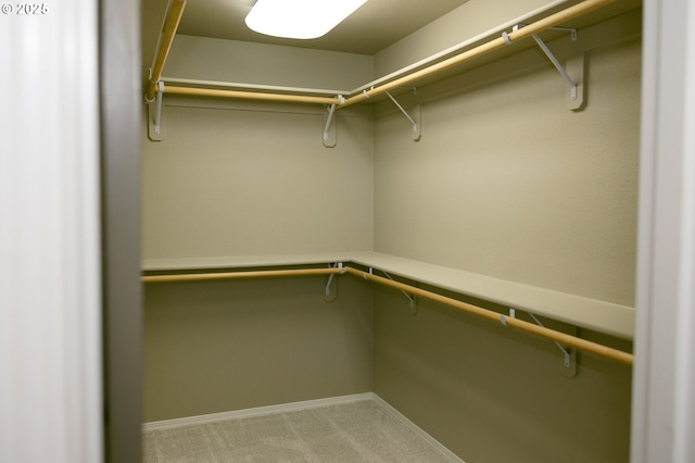 spacious closet featuring light colored carpet