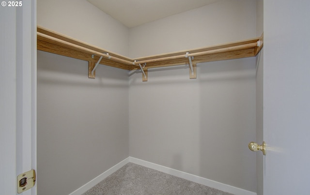 15807 NE 48th Cir, Vancouver, WA 98682 - walk in closet with carpet floors