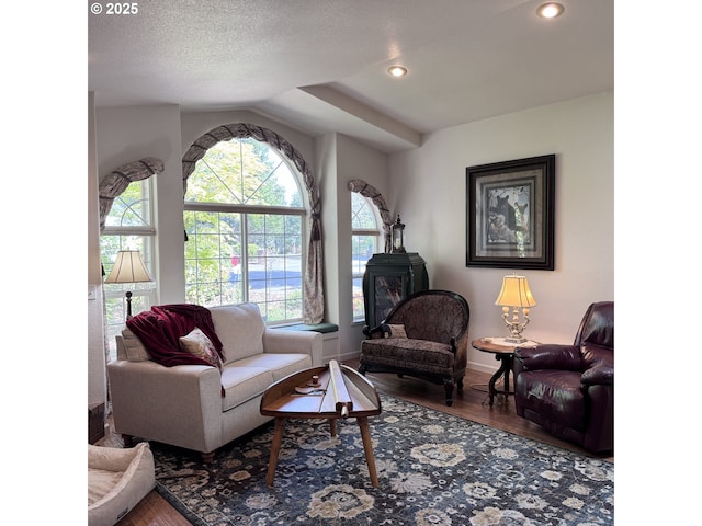 living room featuring baseboards, a wood stove, recessed lighting, and wood finished floors