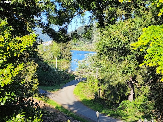aerial view of a nearby body of water