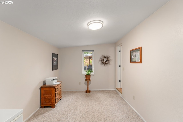 interior space featuring baseboards and light colored carpet