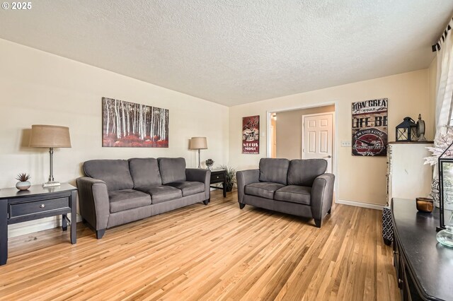 living room with baseboards, light wood finished floors, and a textured ceiling