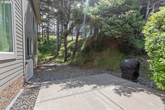 29027 Vizcaino Ct, Gold Beach, OR 97444 - view of patio / terrace