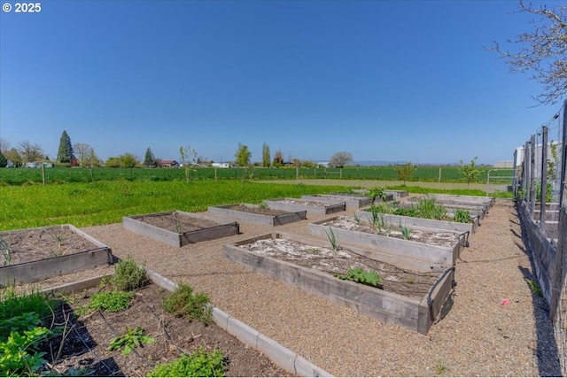 view of yard with a garden, fence, and a rural view