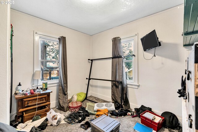 12107 SE Carlton St, Portland, OR 97266 - view of workout area