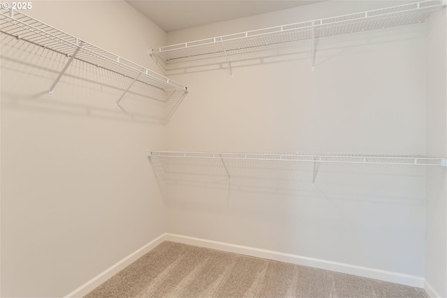 31709 NW Turel Dr, North Plains, OR 97133 - spacious closet with carpet floors