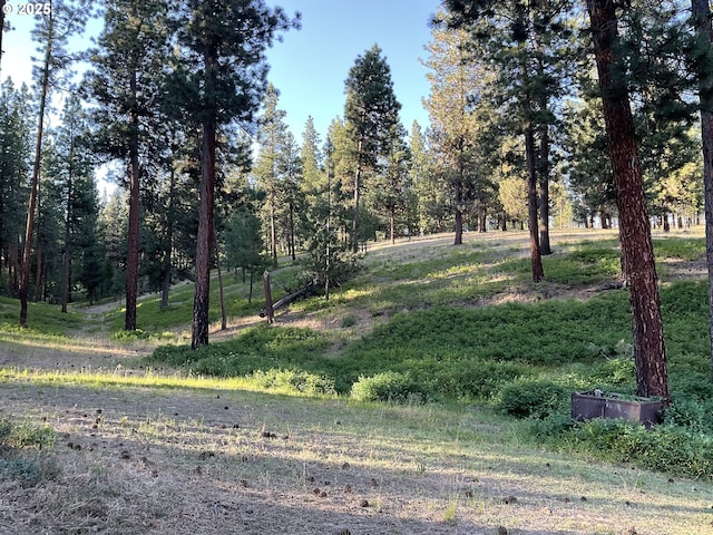 39798 Bear Gulch Rd, Sumpter, OR 97877 - view of nature