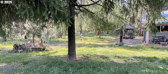 39798 Bear Gulch Rd, Sumpter, OR 97877 - view of yard