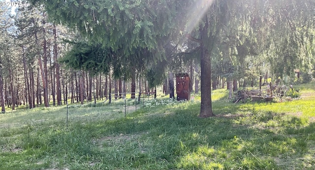 39798 Bear Gulch Rd, Sumpter, OR 97877 - view of yard