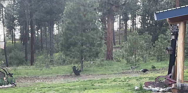 39798 Bear Gulch Rd, Sumpter, OR 97877 - view of yard with a forest view