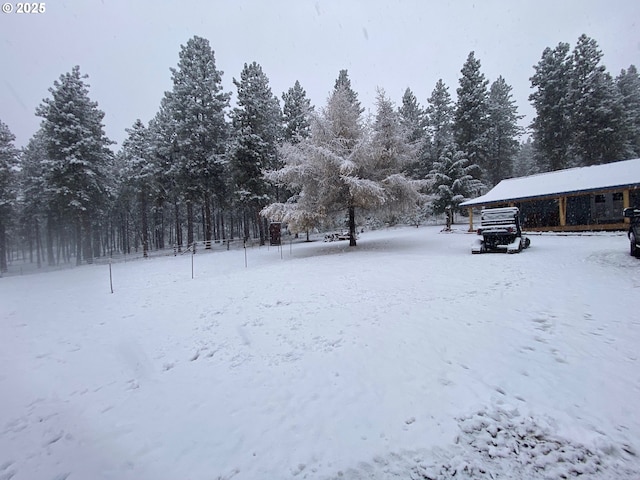 39798 Bear Gulch Rd, Sumpter, OR 97877 - view of yard layered in snow