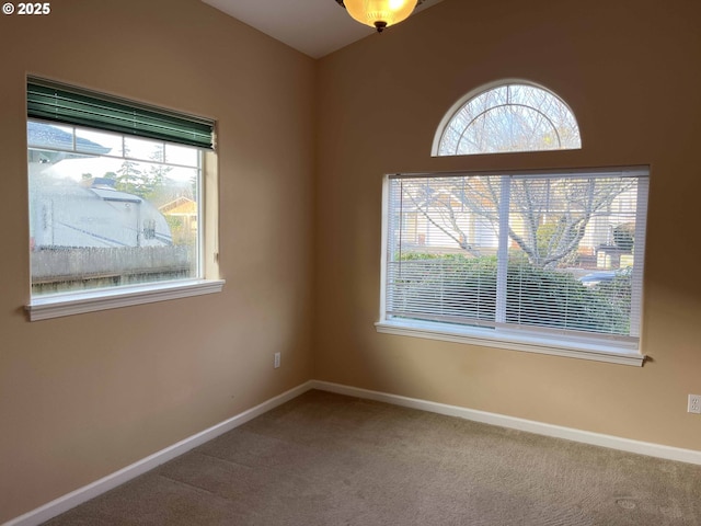 carpeted spare room featuring a wealth of natural light