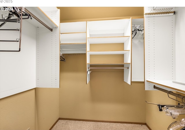 walk in closet with light colored carpet