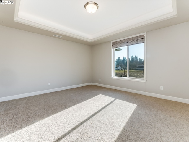 unfurnished room featuring a raised ceiling and carpet flooring