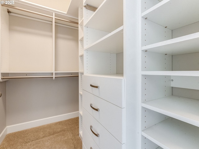 walk in closet featuring carpet floors