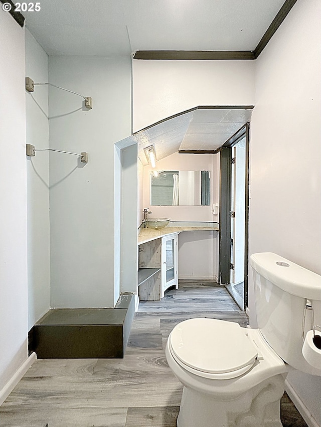 bathroom with wood finished floors, a sink, toilet, and baseboards