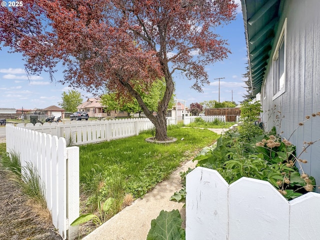 view of yard with a fenced backyard