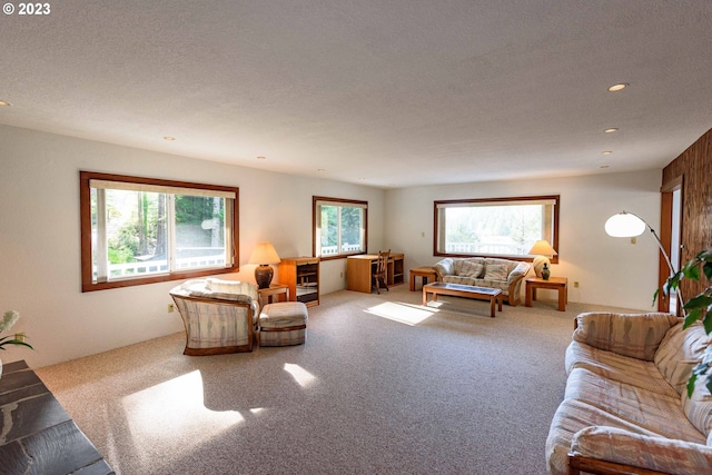 carpeted living room with a textured ceiling and a healthy amount of sunlight